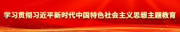 男生艹女生视频网站学习贯彻习近平新时代中国特色社会主义思想主题教育